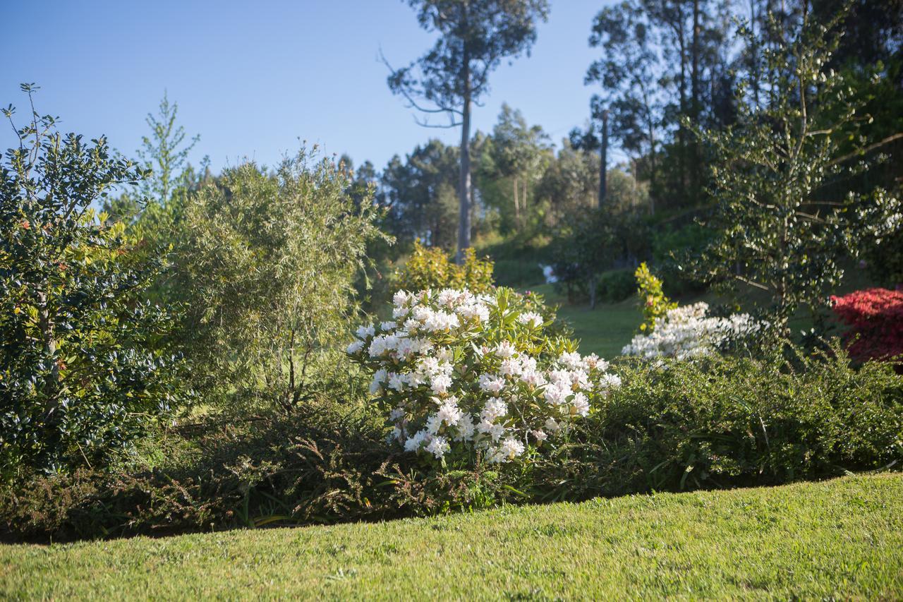 Casa Pineiro ξενώνας Monfero Εξωτερικό φωτογραφία